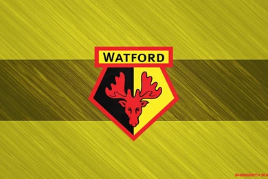 Watford FC Wallpapers And Windows 10 Theme