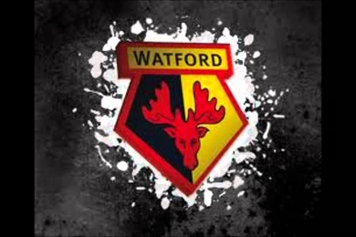 WATFORD FC!!!   YouTube