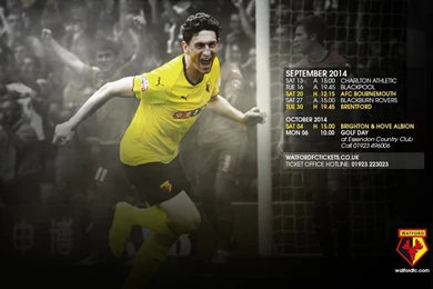 WATFORD FC DOWNLOAD: September Desktop Wallpapers