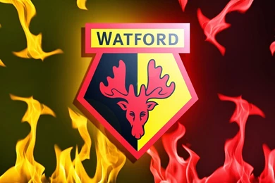 David Luiz   Videos   Google+