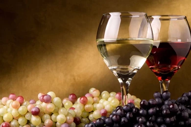 Gallery For   Wine Wallpapers Hd
