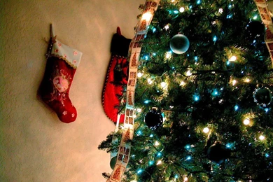 Christmas Tree Wallpaper Backgrounds