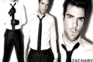Zachary Quinto Wallpapers   Male Celebrity   Crazy Frankenstein