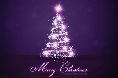 Christmas Tree For New Year On The Violet Backgrounds Wallpapers ...