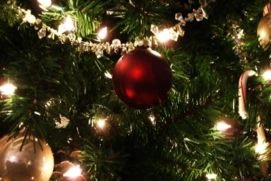 MLeWallpapers.com   Christmas Tree I