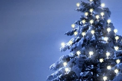 CHRISTMAS TREE, IPHONE WALLPAPER BACKGROUND