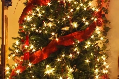 Download Wallpapers 750x1334 Christmas Tree, Garland, Holiday ...