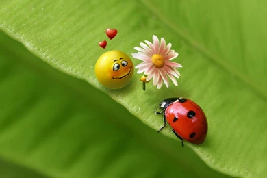 Download Cute Love For Desktop Wallpapers