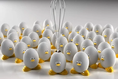 Amazing Cool Funny HD Wallpapers Free Download