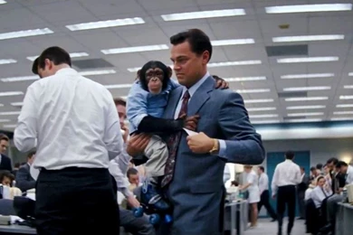 The Wolf Of Wall Street Movie Wallpapers