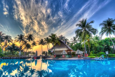 Australia Sydney Palm Trees Pool Wallpapers