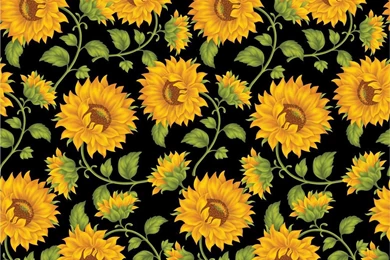 21596) Sunflower Tumblr HD Desktop Wallpapers   WalOps.com