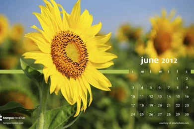 June Desktop Calendars 2012