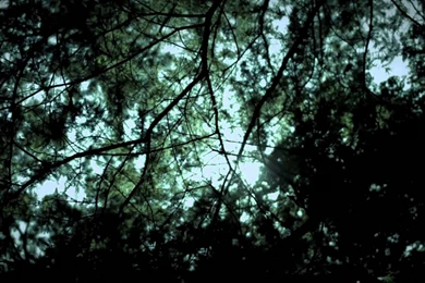 Converge   "Aimless Arrow"   YouTube