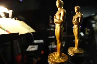 Oscars 2015 Wallpaper Backgrounds