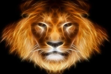Gallery For   Digital Lion Wallpapers