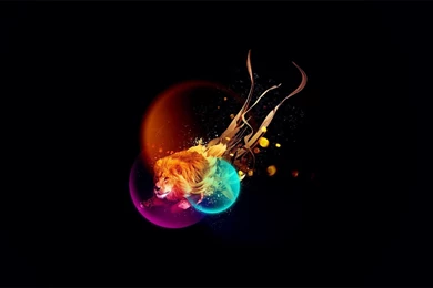Colorful Abstract Lion   Wallpapers
