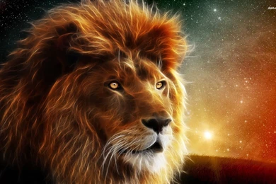 Glowing Lion Wallpapers   Digital Art Wallpapers