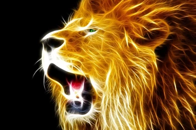 Animal Lion Abstract