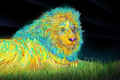 Pipit Hermanto — Trippy Animal Lion Wallpapers You Can Download...