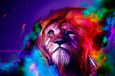 Top Creative Abstract Lion Wallpapers.jpg