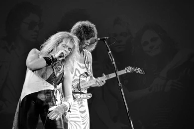 VAN HALEN Heavy Metal Hard Rock Bands Concert Guitar M Wallpapers ...