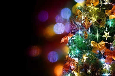 1366x768 Christmas Tree Wallpapers