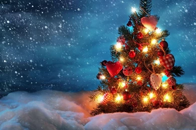 Download Wallpapers 1366x768 Tree, New Year, Christmas, Snow ...