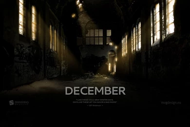 1920x1200 Winter Atmosphere Desktop PC And Mac Wallpapers