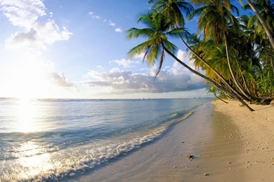 Beach New Wallpapers