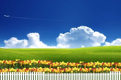 High definition pictures free hd wallpaper.jpg