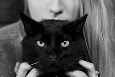 60 AMAZING ANIMAL IPHONE WALLPAPER FREE TO DOWNLOAD ...