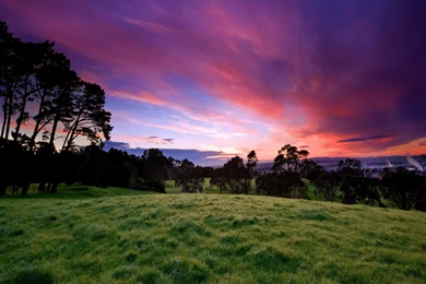 Hd Wallpapers Of Nature Free Download   Wallpapers HD Base