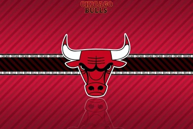 5 Chicago Bulls HD Wallpapers