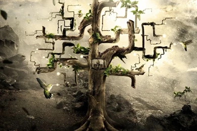 Abstract Tree Wallpapers