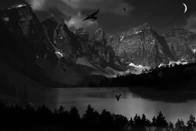 Desktop dark nature wallpapers download.jpg