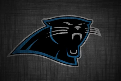 Panther Wallpapers