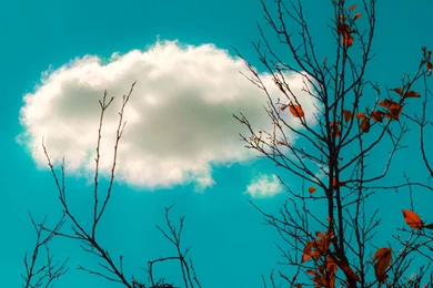 Samsung Galaxy Archives   HD Wallpapers Source