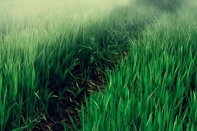 Galaxy S4   Samsung Wallpapers