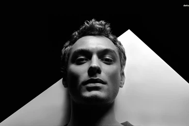 Jude Law Wallpapers   Male Celebrity Wallpapers