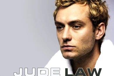 Wallpapers Lawyer   Wallpapers Animal Hd