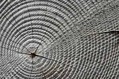 iPhone Backgrounds Texture Wood Wallpapers