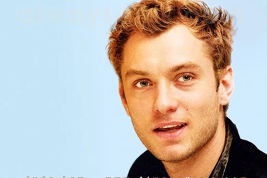 Wallpapers Lawyer   Wallpapers Animal Hd