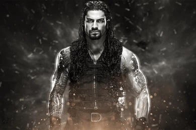 WWE Roman Reigns 2014 By SmileDexizeR On DeviantArt