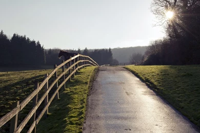 2048 By 1152 Wallpapers   Invitation Templates