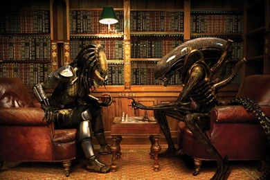 Funny Wallpapers 2048x1152   (