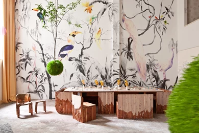 Pablo Piatti's Tropical Birds Wallpapers Mural Graces The Walls ...