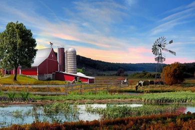 Summer, Wallpapers   1467413