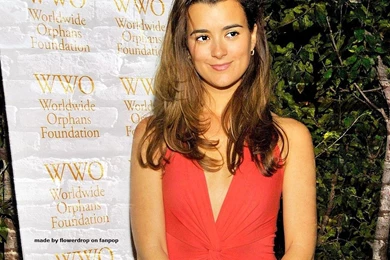 Cote de pablo wallpaper cote de pablo married b47290880f7f19c57e24e76f9acb5f13 large 55230.jpg