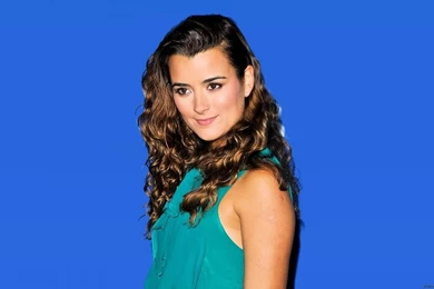 Cote de pablo wallpaper cote de pablo wallpaper 50a505acfcdc52e6e704164f1d65b474 large 21200.jpg
